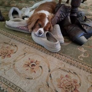 Meet your Posher, Sierra